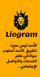 شاشة الواجهة